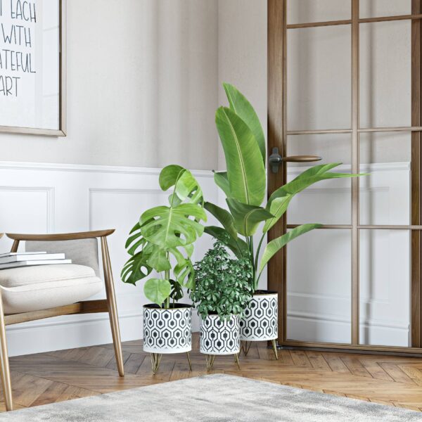 Andrey Mid-Century Planters (Set of 3) - Image 6