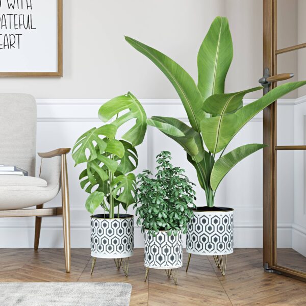 Andrey Mid-Century Planters (Set of 3) - Image 5